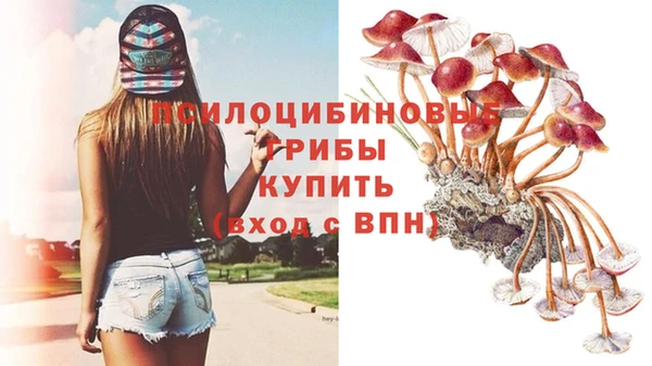 крисы Балабаново